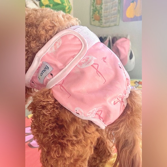 Extra Small Doggie Diapers (2pack) - Picture 9 of 12